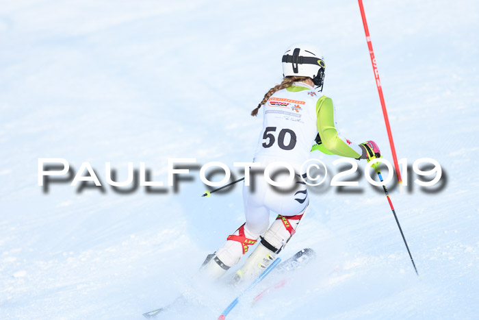 DSV Dt. Schülercup U14 SL 20.01.2019 Slalom