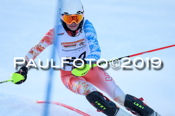 DSV Dt. Schülercup U14 SL 20.01.2019 Slalom