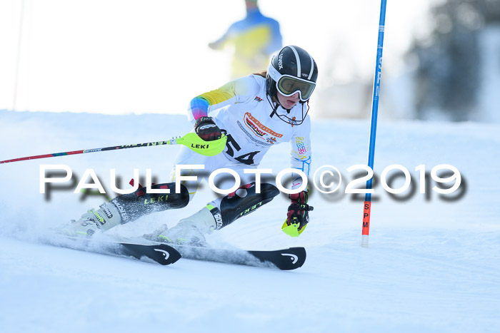 DSV Dt. Schülercup U14 SL 20.01.2019 Slalom