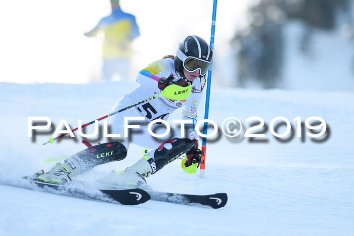 DSV Dt. Schülercup U14 SL 20.01.2019 Slalom