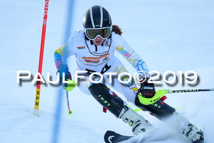 DSV Dt. Schülercup U14 SL 20.01.2019 Slalom