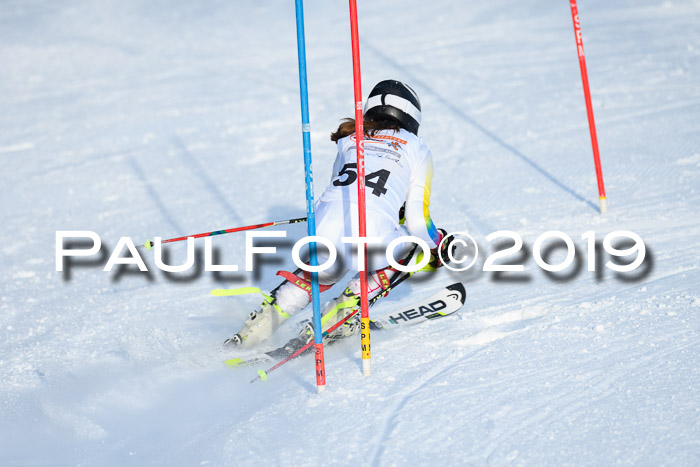 DSV Dt. Schülercup U14 SL 20.01.2019 Slalom