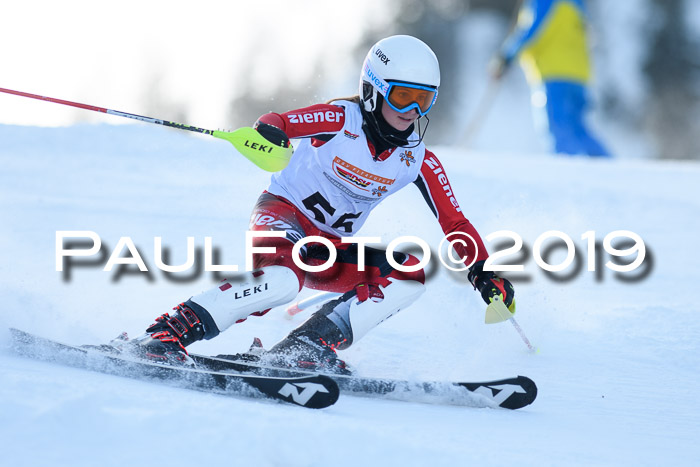 DSV Dt. Schülercup U14 SL 20.01.2019 Slalom