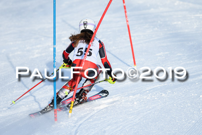 DSV Dt. Schülercup U14 SL 20.01.2019 Slalom