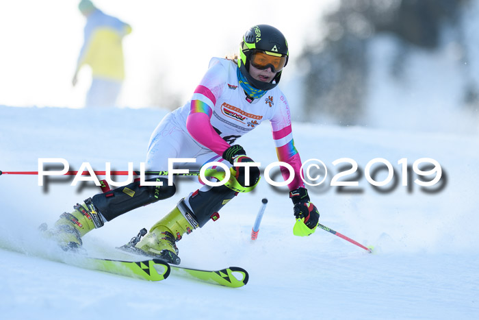 DSV Dt. Schülercup U14 SL 20.01.2019 Slalom