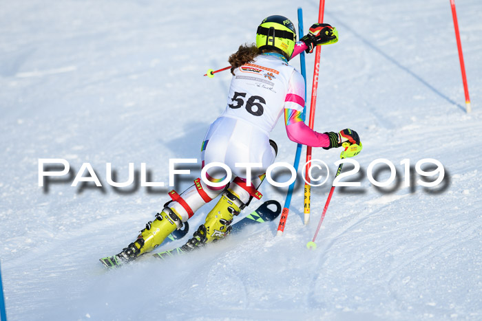 DSV Dt. Schülercup U14 SL 20.01.2019 Slalom