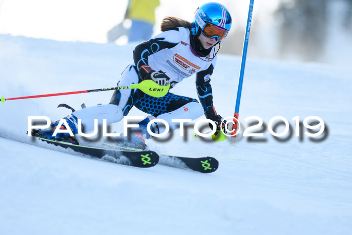 DSV Dt. Schülercup U14 SL 20.01.2019 Slalom