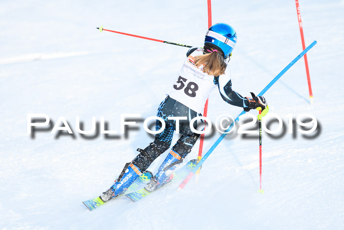 DSV Dt. Schülercup U14 SL 20.01.2019 Slalom