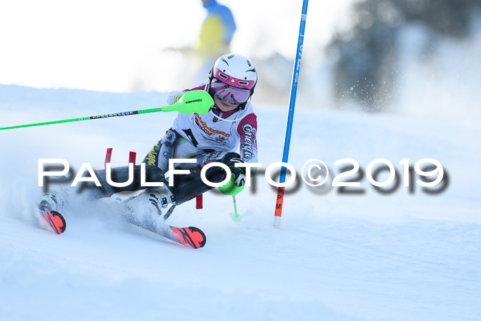 DSV Dt. Schülercup U14 SL 20.01.2019 Slalom