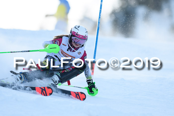 DSV Dt. Schülercup U14 SL 20.01.2019 Slalom