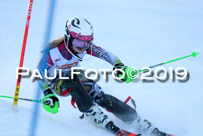 DSV Dt. Schülercup U14 SL 20.01.2019 Slalom