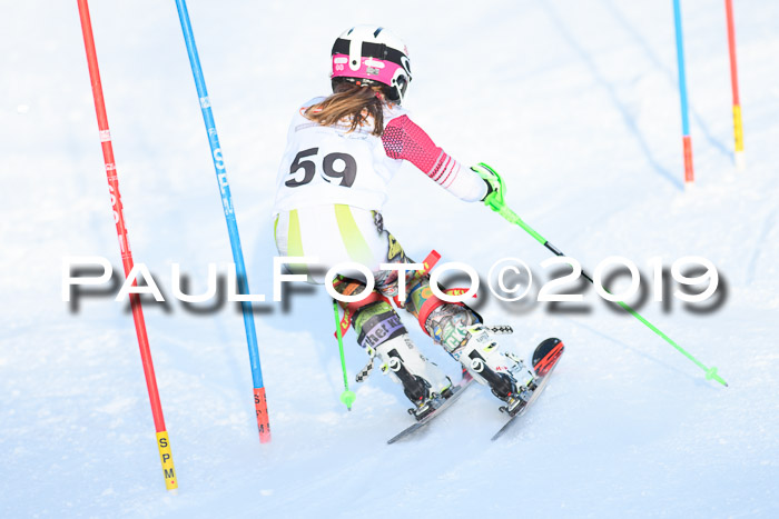 DSV Dt. Schülercup U14 SL 20.01.2019 Slalom