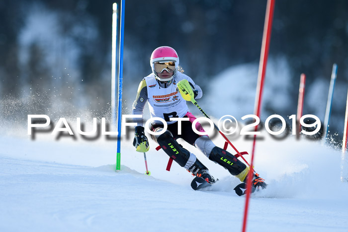 DSV Dt. Schülercup U14 SL 20.01.2019 Slalom