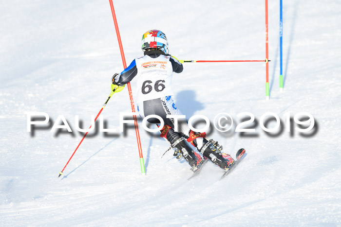 DSV Dt. Schülercup U14 SL 20.01.2019 Slalom