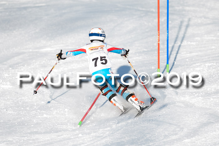 DSV Dt. Schülercup U14 SL 20.01.2019 Slalom