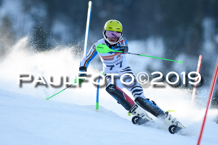 DSV Dt. Schülercup U14 SL 20.01.2019 Slalom