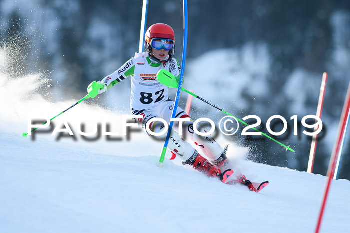 DSV Dt. Schülercup U14 SL 20.01.2019 Slalom