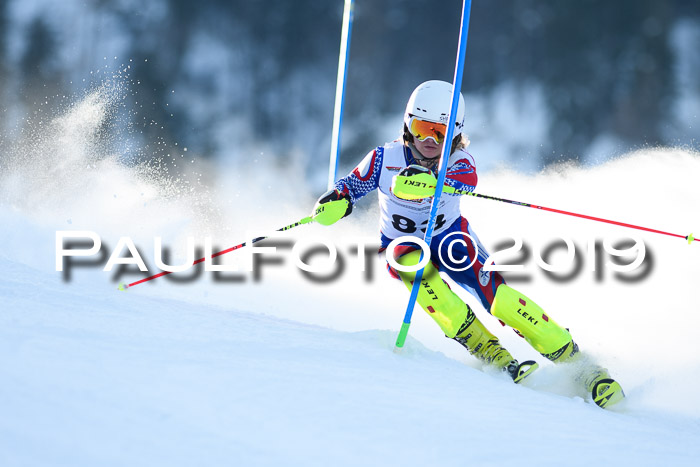 DSV Dt. Schülercup U14 SL 20.01.2019 Slalom