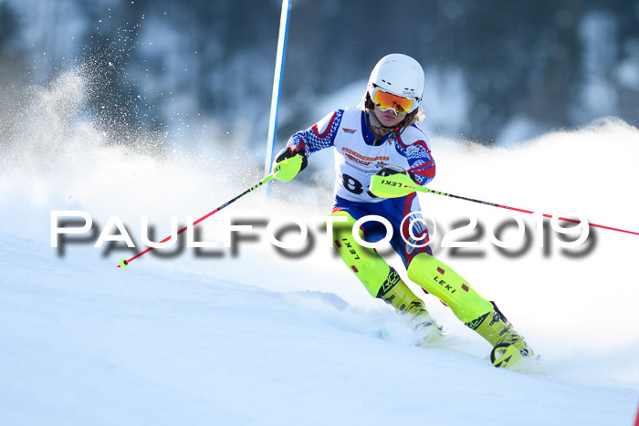 DSV Dt. Schülercup U14 SL 20.01.2019 Slalom