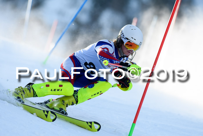 DSV Dt. Schülercup U14 SL 20.01.2019 Slalom