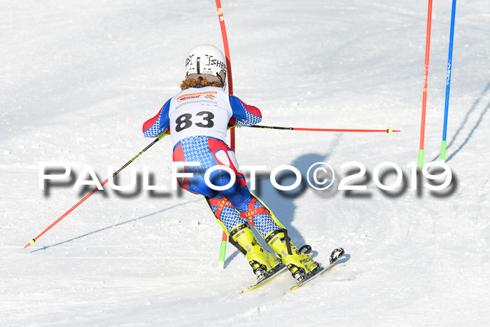 DSV Dt. Schülercup U14 SL 20.01.2019 Slalom