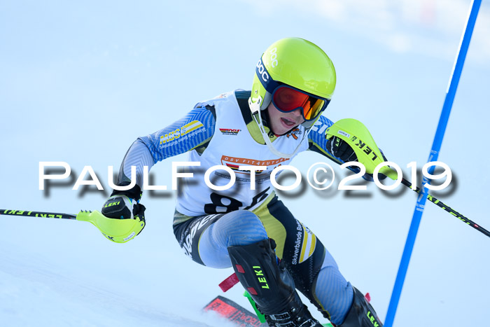 DSV Dt. Schülercup U14 SL 20.01.2019 Slalom