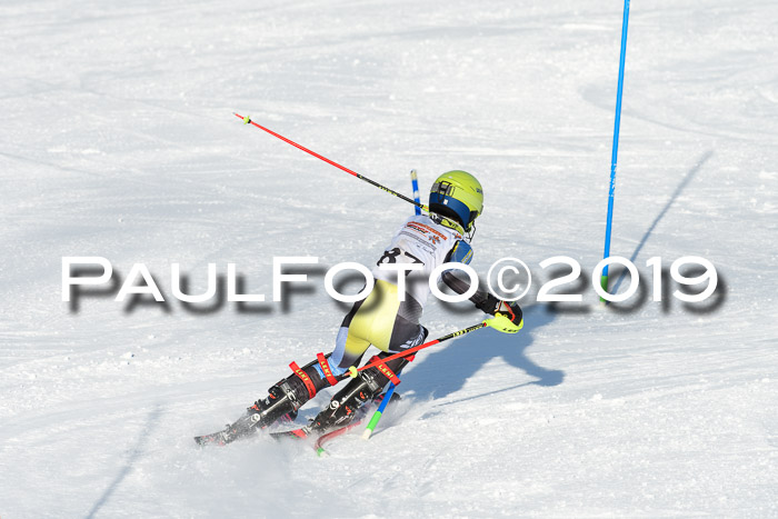 DSV Dt. Schülercup U14 SL 20.01.2019 Slalom