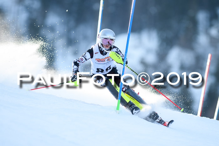 DSV Dt. Schülercup U14 SL 20.01.2019 Slalom