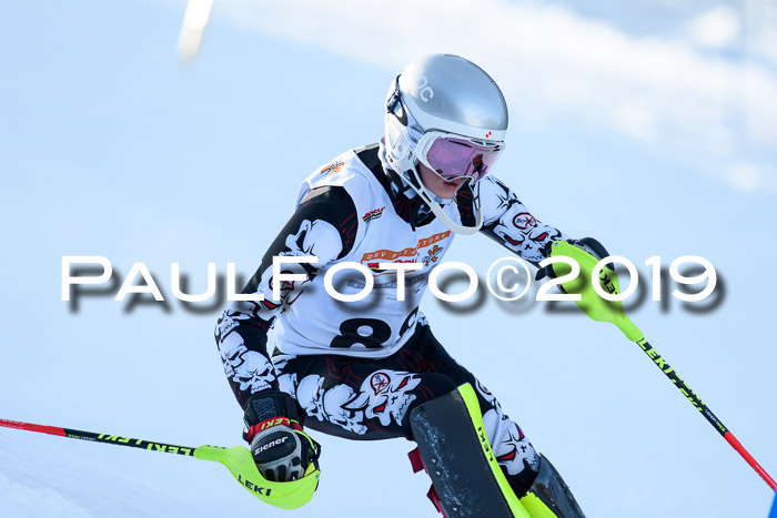DSV Dt. Schülercup U14 SL 20.01.2019 Slalom