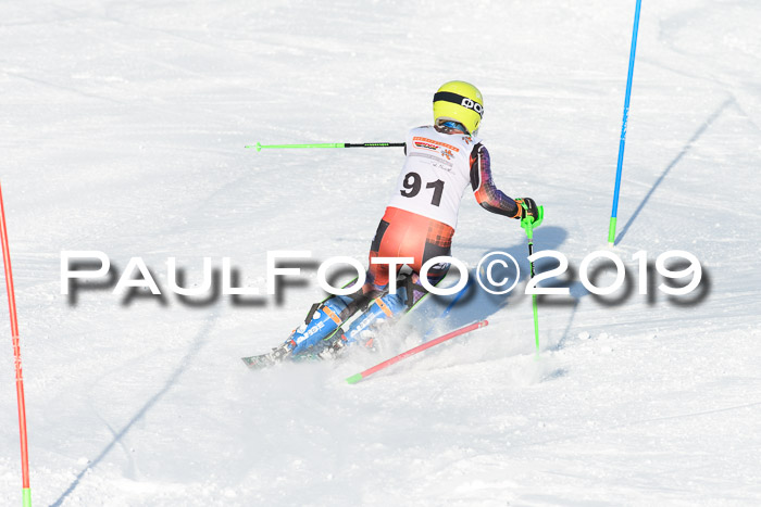 DSV Dt. Schülercup U14 SL 20.01.2019 Slalom