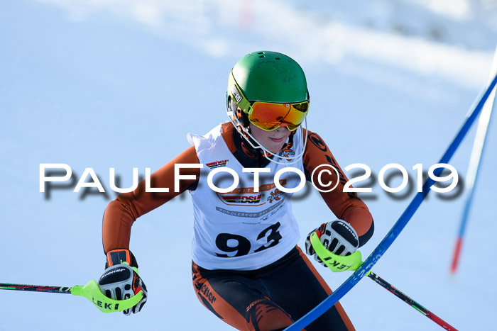 DSV Dt. Schülercup U14 SL 20.01.2019 Slalom