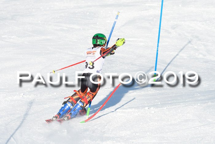 DSV Dt. Schülercup U14 SL 20.01.2019 Slalom