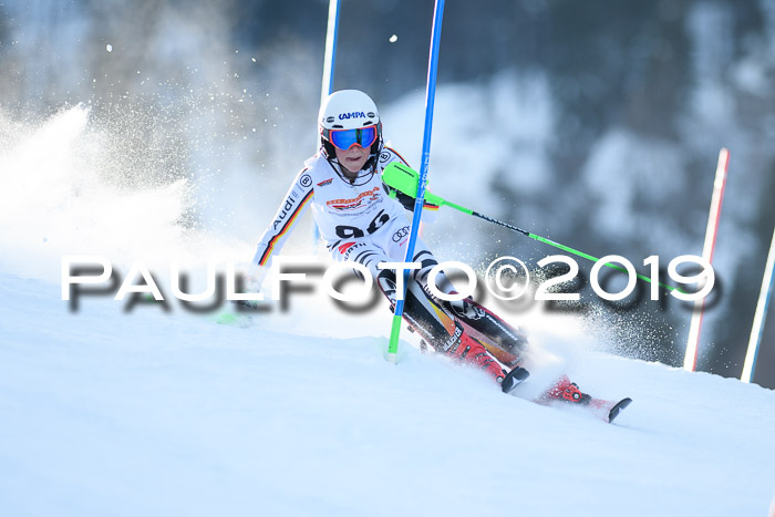 DSV Dt. Schülercup U14 SL 20.01.2019 Slalom
