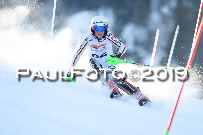 DSV Dt. Schülercup U14 SL 20.01.2019 Slalom