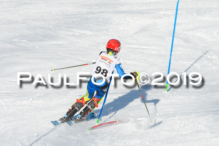 DSV Dt. Schülercup U14 SL 20.01.2019 Slalom