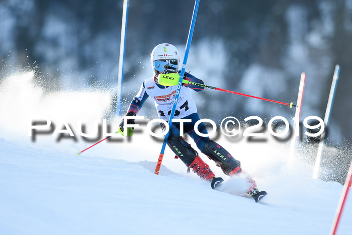 DSV Dt. Schülercup U14 SL 20.01.2019 Slalom