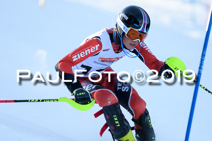 DSV Dt. Schülercup U14 SL 20.01.2019 Slalom