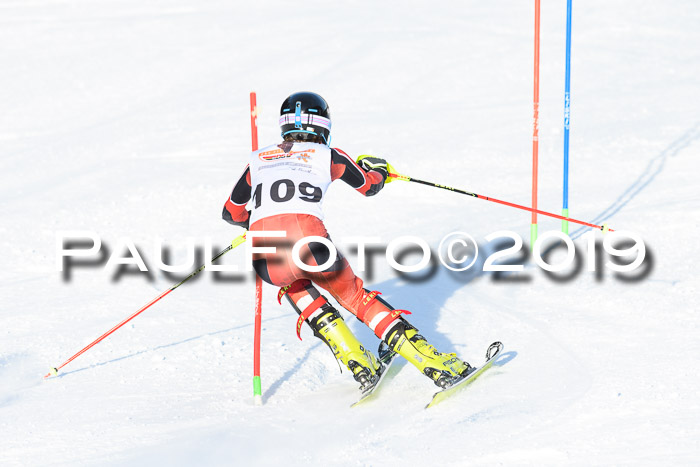 DSV Dt. Schülercup U14 SL 20.01.2019 Slalom