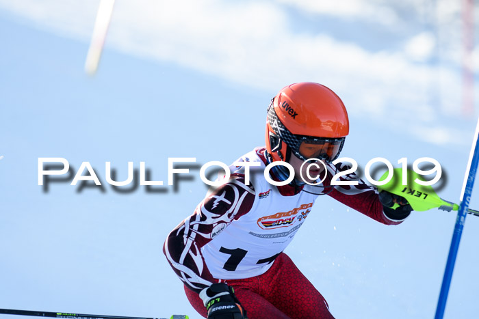 DSV Dt. Schülercup U14 SL 20.01.2019 Slalom
