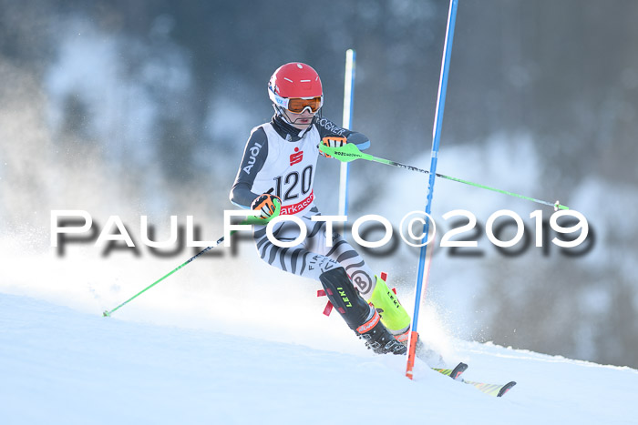 DSV Dt. Schülercup U14 SL 20.01.2019 Slalom