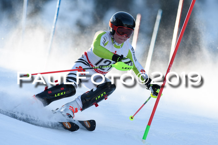 DSV Dt. Schülercup U14 SL 20.01.2019 Slalom