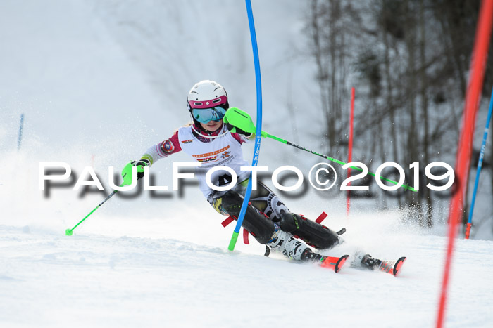 DSV Dt. Schülercup U14 SL 20.01.2019 Slalom