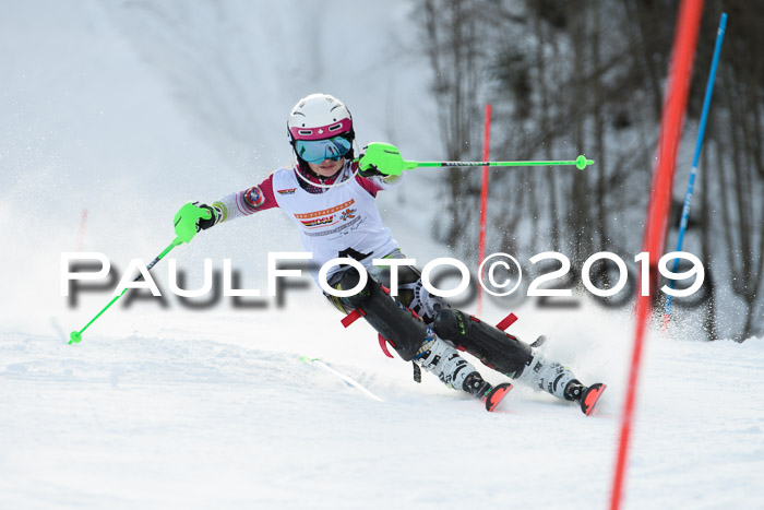 DSV Dt. Schülercup U14 SL 20.01.2019 Slalom