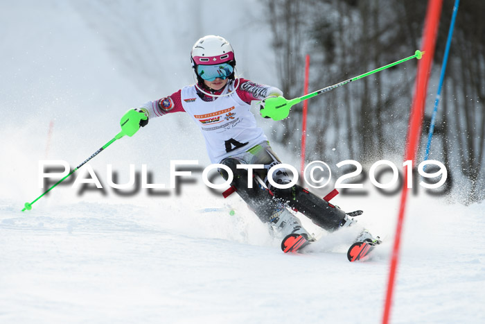 DSV Dt. Schülercup U14 SL 20.01.2019 Slalom
