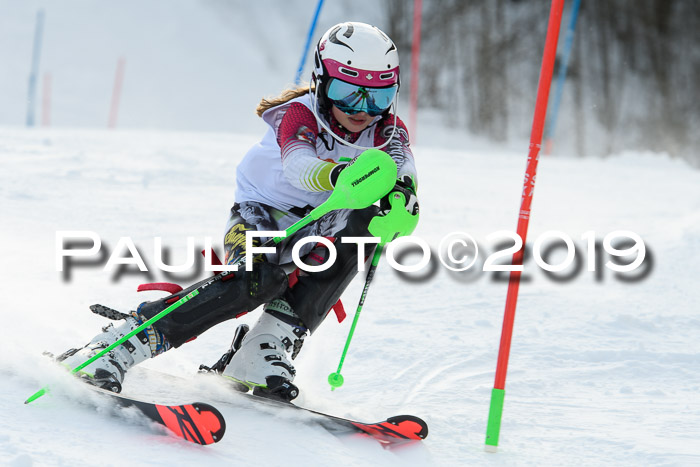 DSV Dt. Schülercup U14 SL 20.01.2019 Slalom