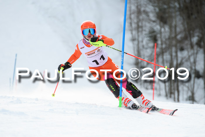 DSV Dt. Schülercup U14 SL 20.01.2019 Slalom