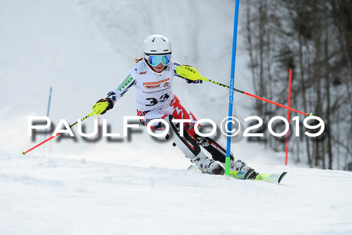 DSV Dt. Schülercup U14 SL 20.01.2019 Slalom