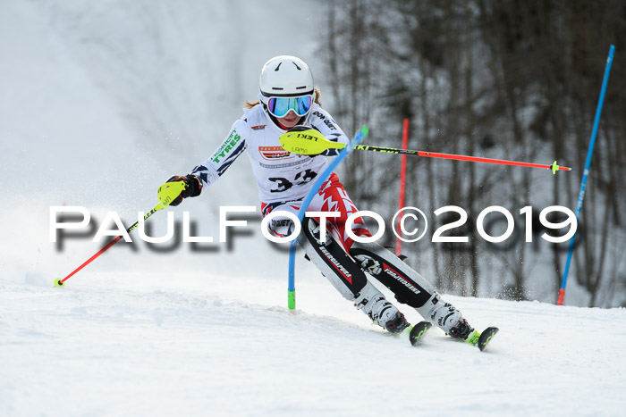 DSV Dt. Schülercup U14 SL 20.01.2019 Slalom