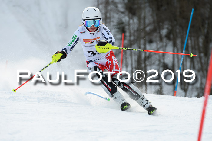 DSV Dt. Schülercup U14 SL 20.01.2019 Slalom