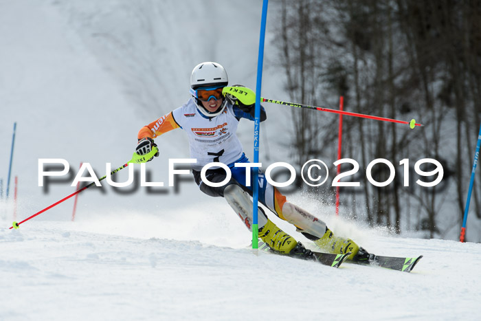 DSV Dt. Schülercup U14 SL 20.01.2019 Slalom